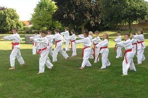 Juniors Karate Training on Grass