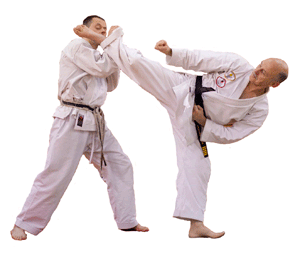 Seniors Karate Sparring